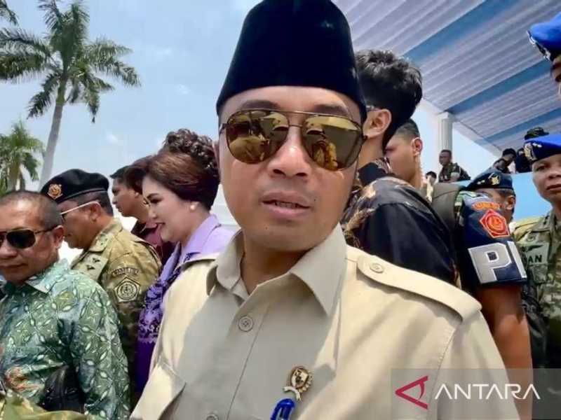 Search image article