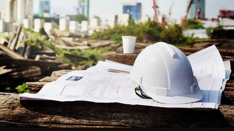 Search image article