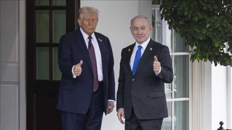 Search image article