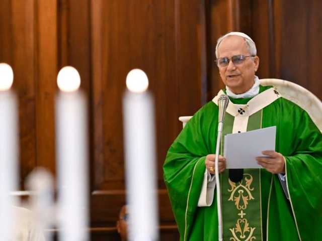 Search image article