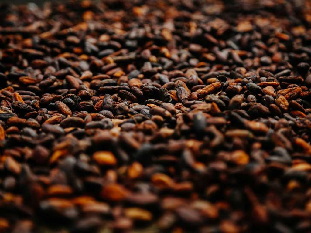 Suplai Global Melonjak, Harga Referensi Biji Kakao Anjlok 14,53 Persen