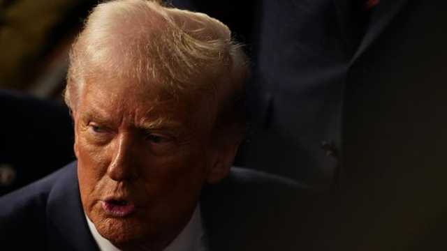 Search image article