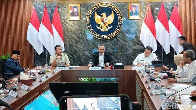 Search image article