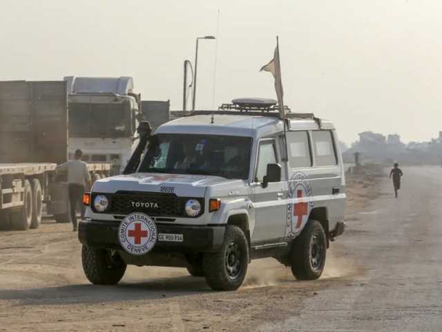 Search image article