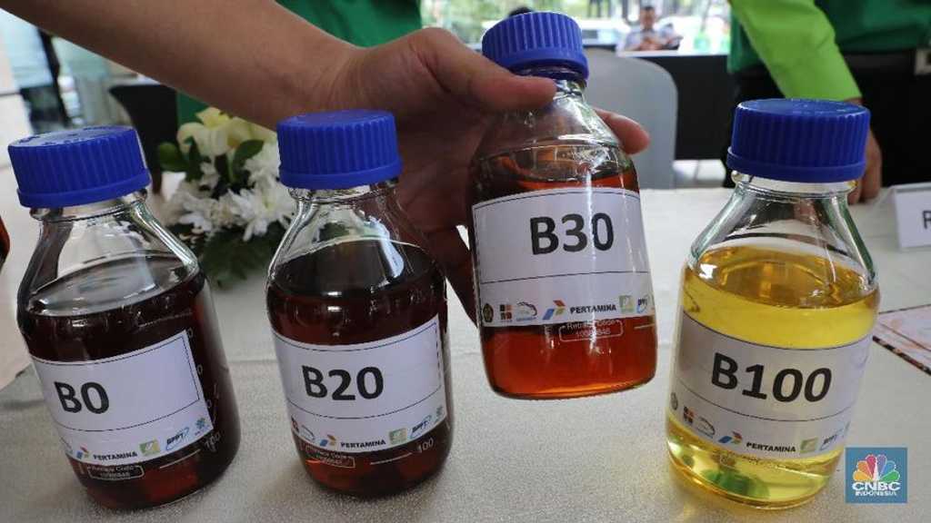 Petani Sawit Tolak Keras Rencana B50, Ini Alasannya!