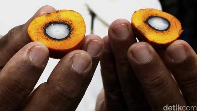 Search image article