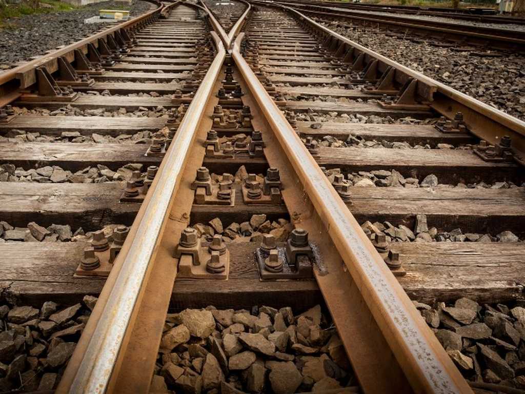 Search image article