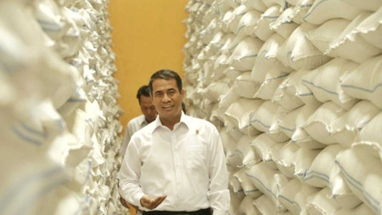 Search image article