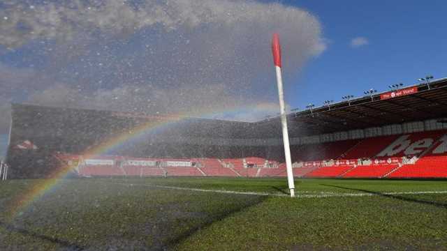 Search image article