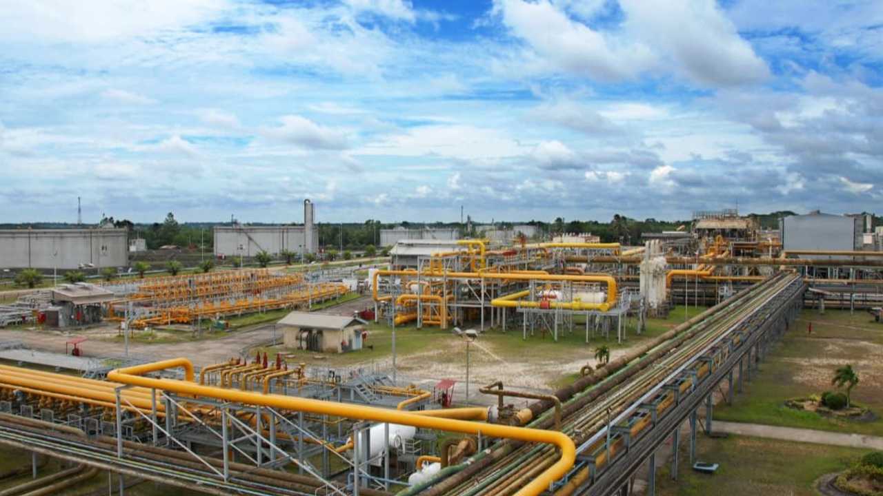 Search image article