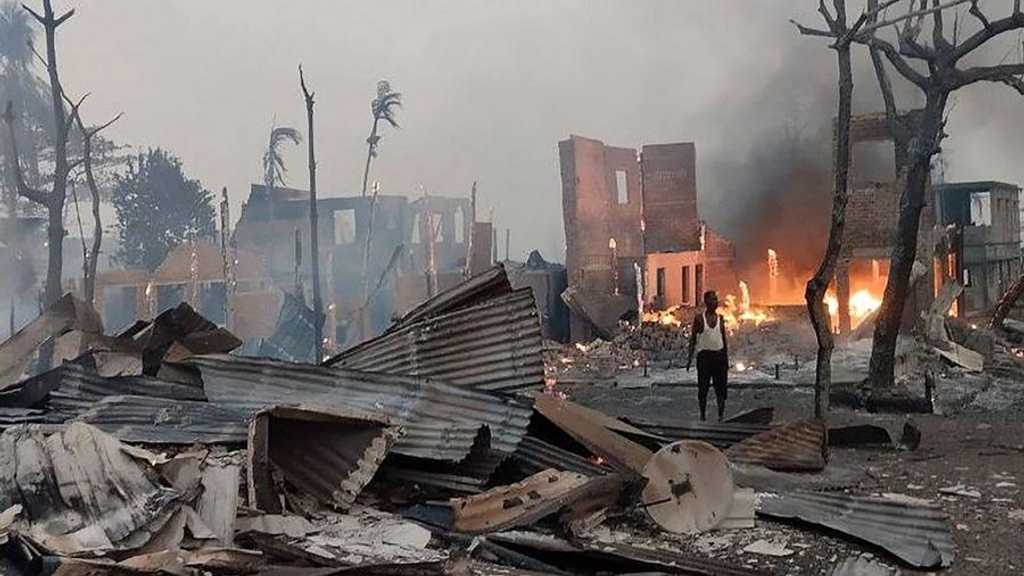 Search image article