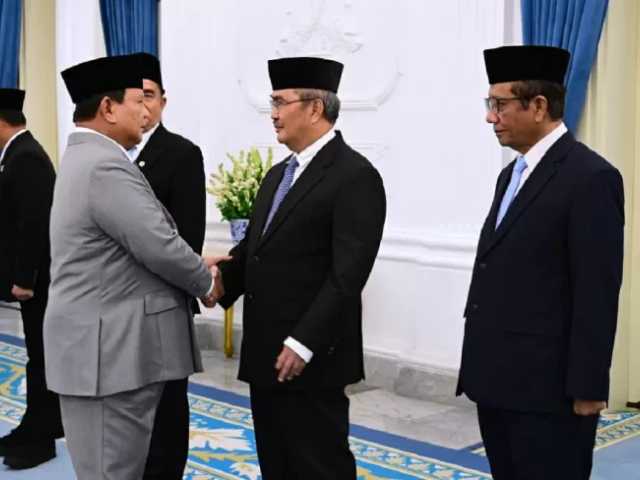 Search image article