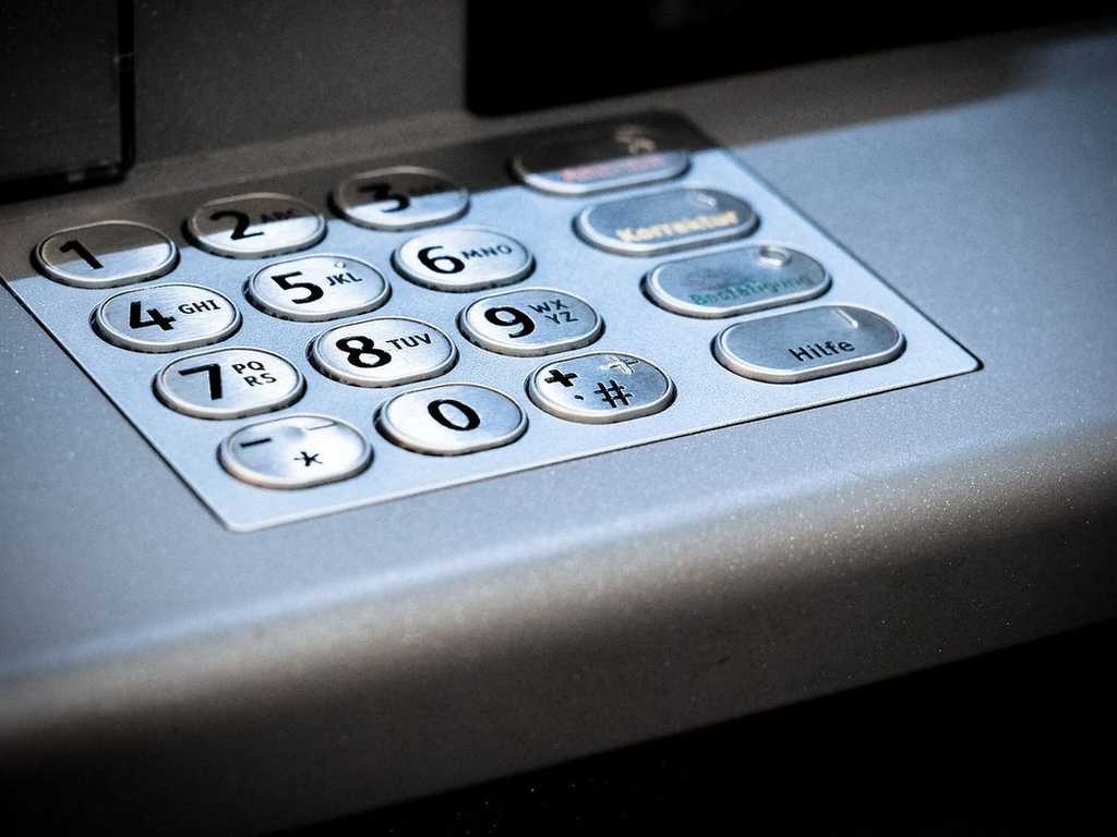 Search image article