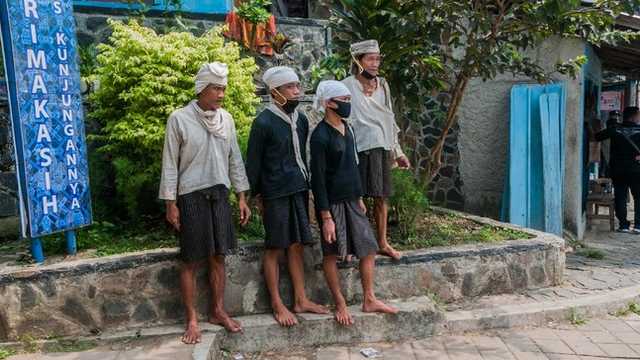 Search image article