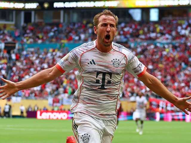 Search image article