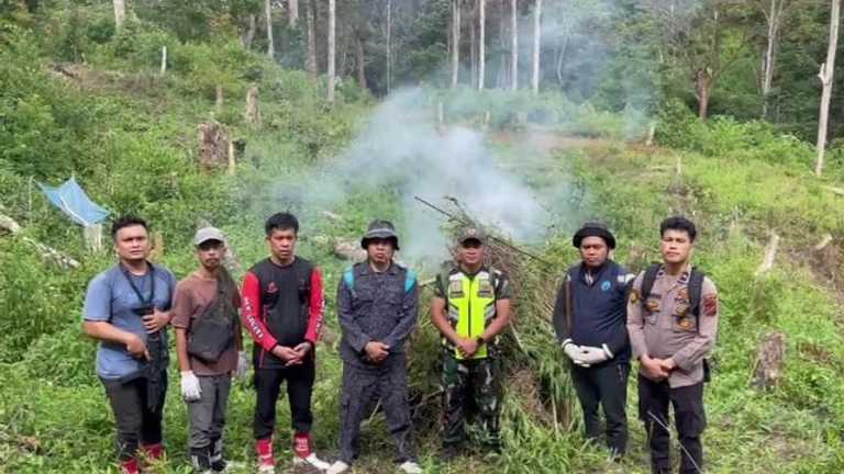 Search image article