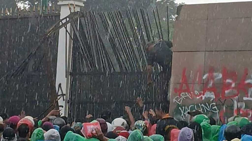 Search image article