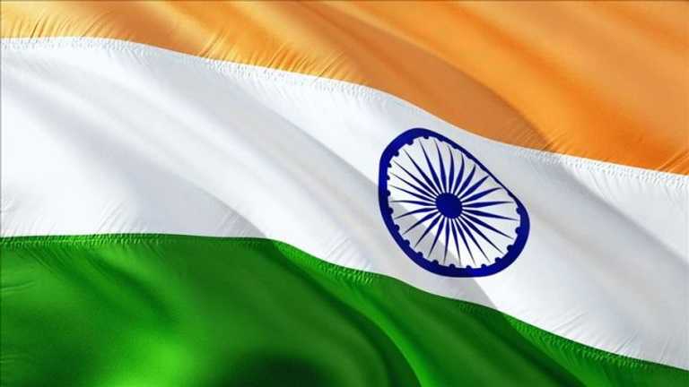 Search image article