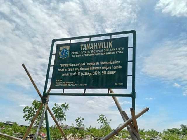 Search image article