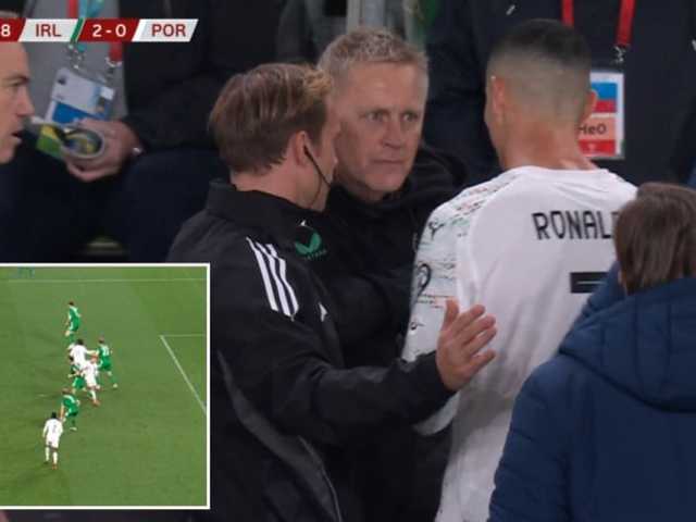 Search image article