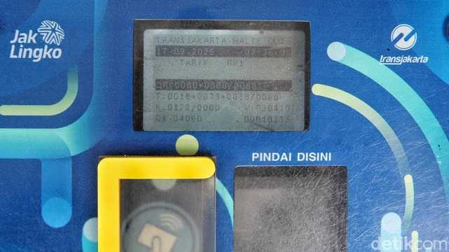 Search image article