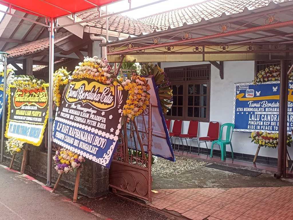 Search image article