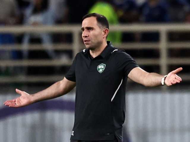 Search image article