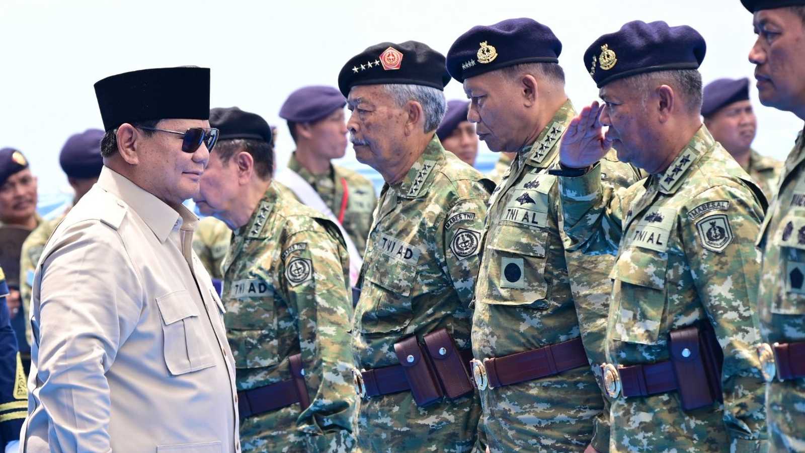 Search image article