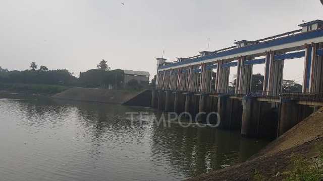 Search image article