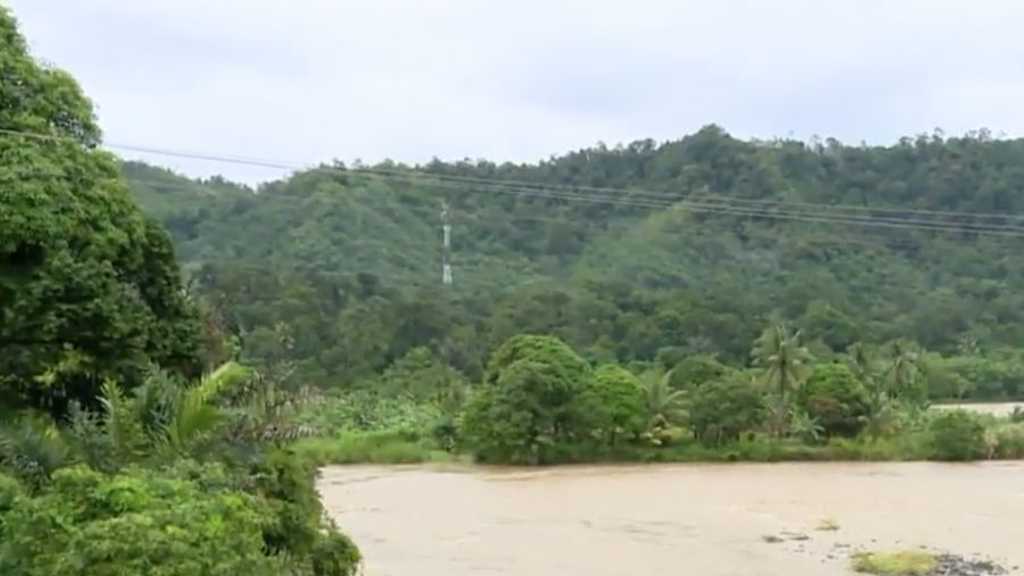 Search image article