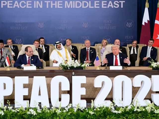 Search image article