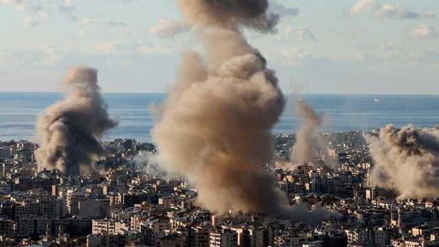 Search image article