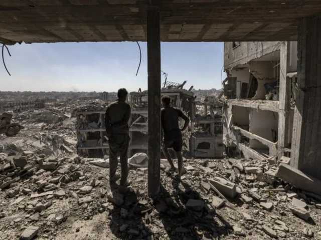 Search image article