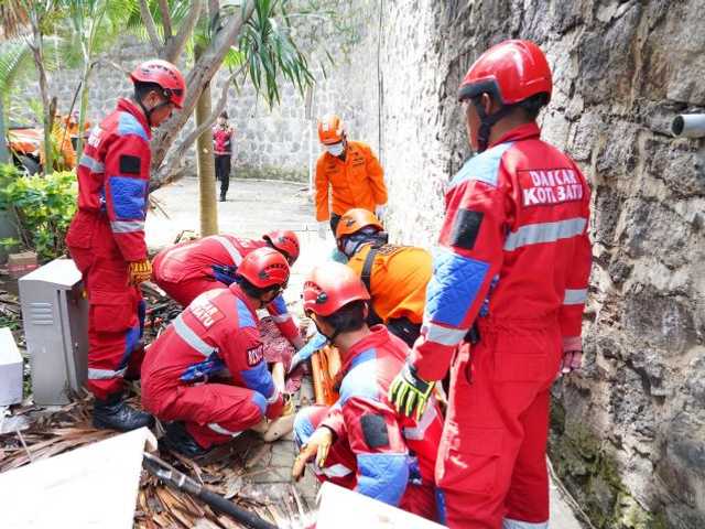 Search image article