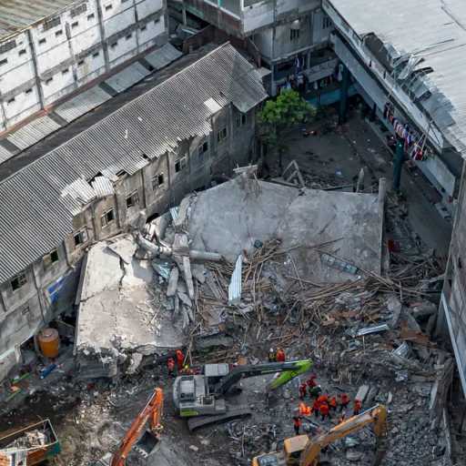 Search image article