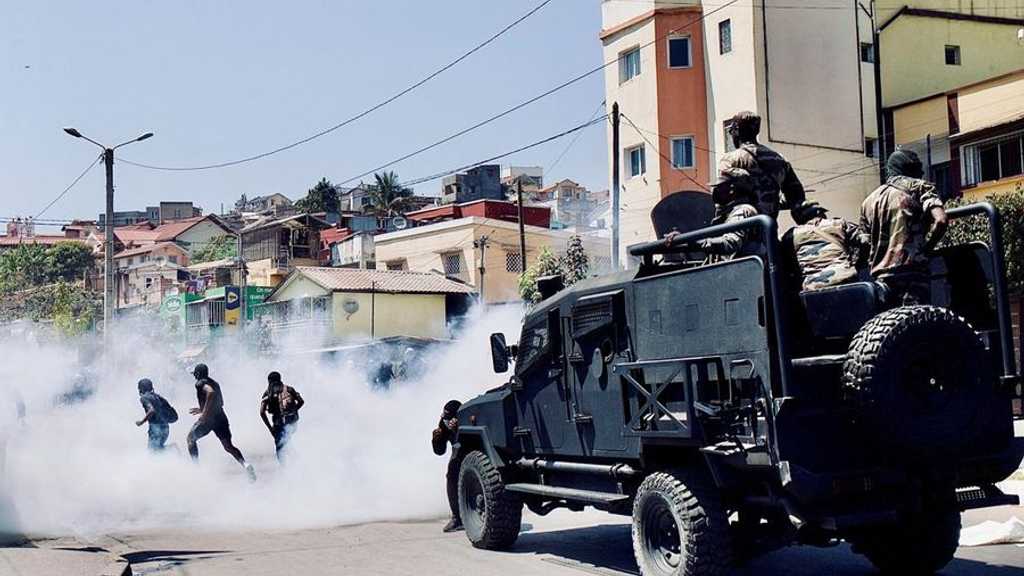 Search image article