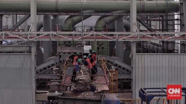 Search image article