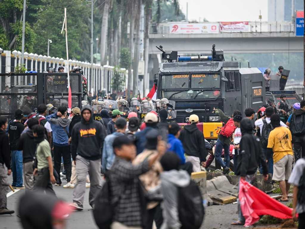 Search image article