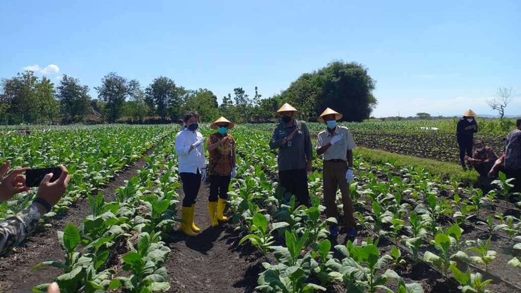 HM Sampoerna: Laba Terjun 13,6%, Penjualan Rokok Lesu