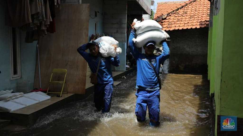 Search image article