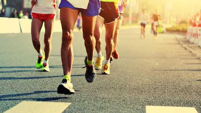 Search image article