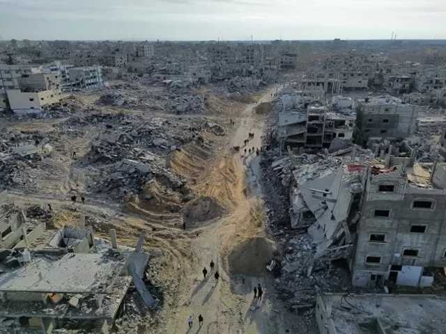 Search image article