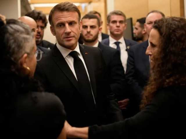 Search image article