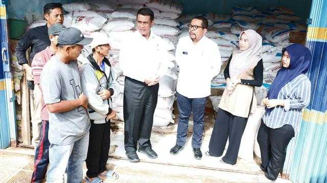 Search image article