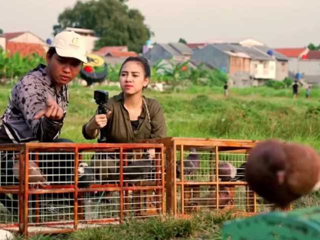 Search image article