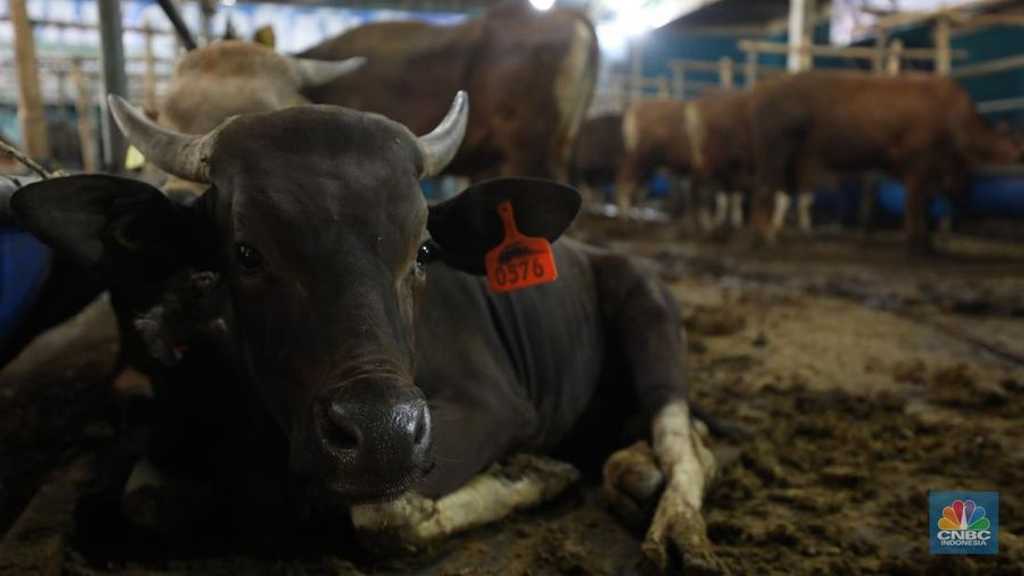 Search image article