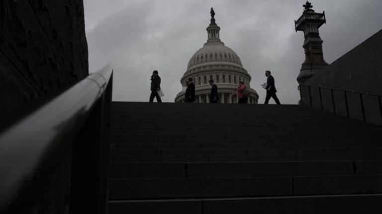 Search image article