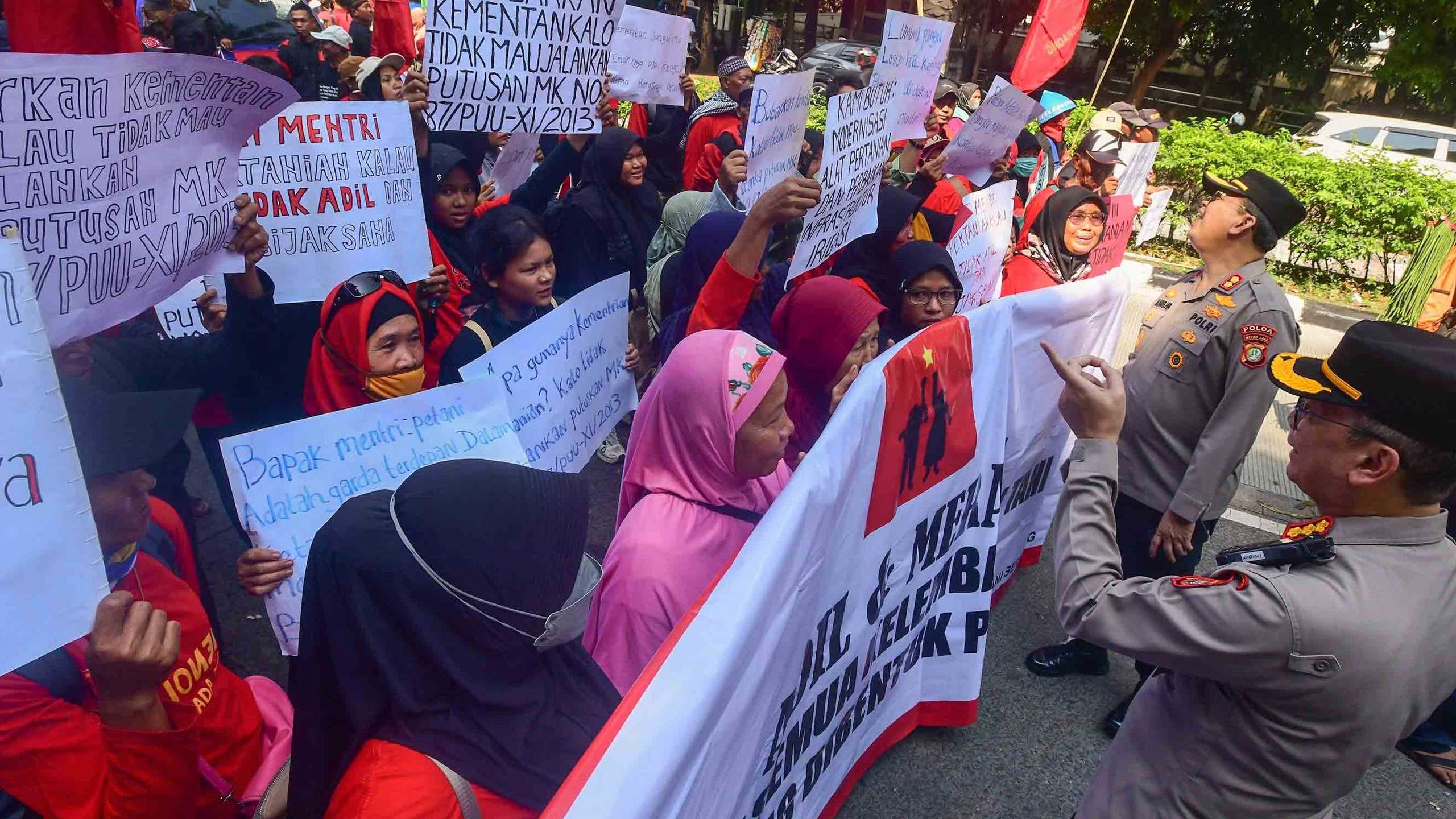 Search image article