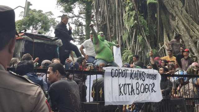 Search image article