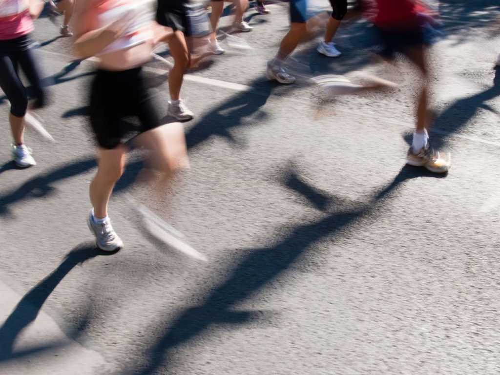 Search image article